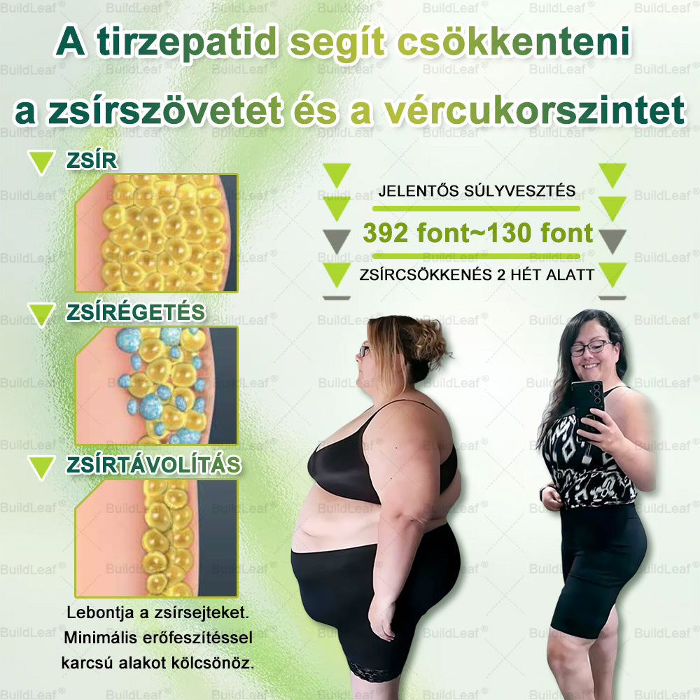 🍃 Korlátozott készlet! A BuildLeaf® 🎁 további 30% kedvezményt kínál! Helyezze vissza testét és egészségét. Cselekedjen most – ez a lehetőség nem tart sokáig.